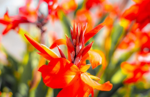 Seaside Inn Monterey image 20